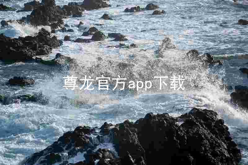 尊龙官方app下载